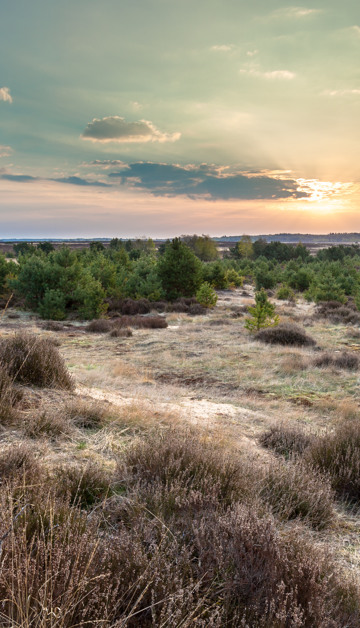 Buchen Sie jetzt Ihren Urlaub in Gelderland