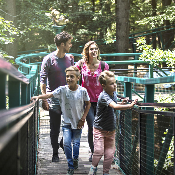 Walk along the treetops at the Boomkroonpad