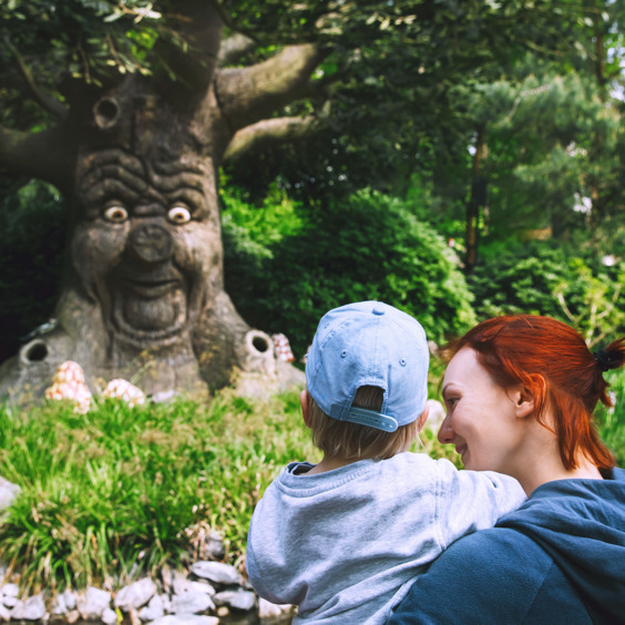 Visit family park the Efteling