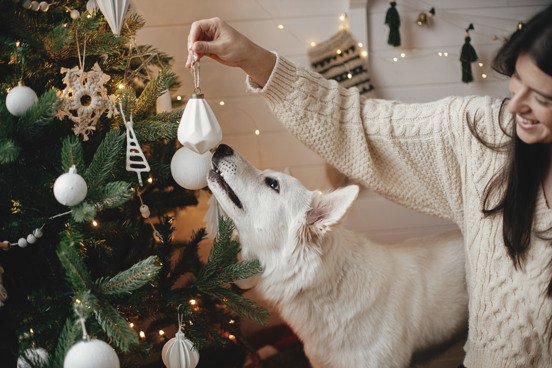 Geniet samen met je hond van de kerstvakantie