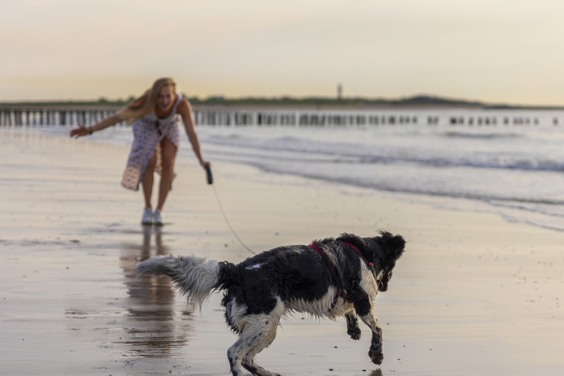 Tijdens je vakantie met hond bij Summio Parcs uitwaaien aan het strand