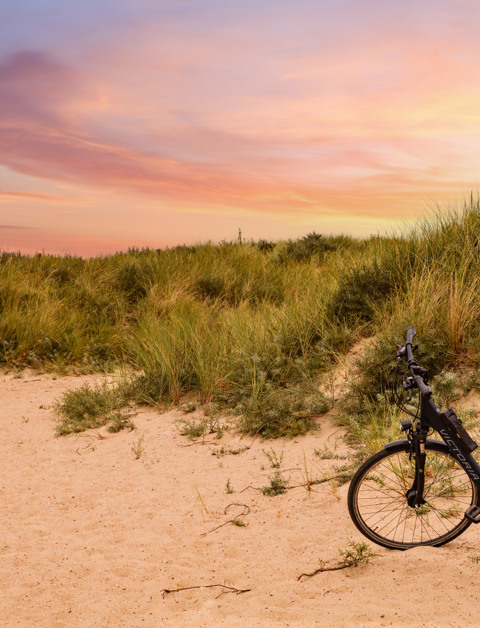 Fiets langs strand en duinen
