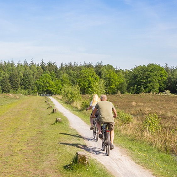 Waar kan ik een fiets huren in Schaijk?