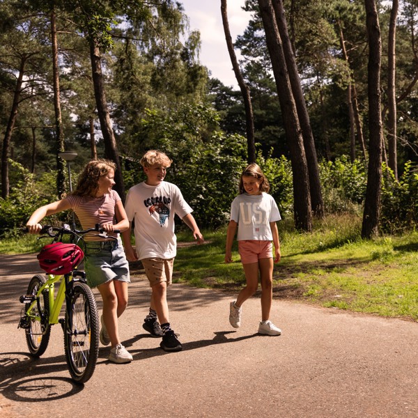 Een verblijf op ons vakantiepark in Gelderland