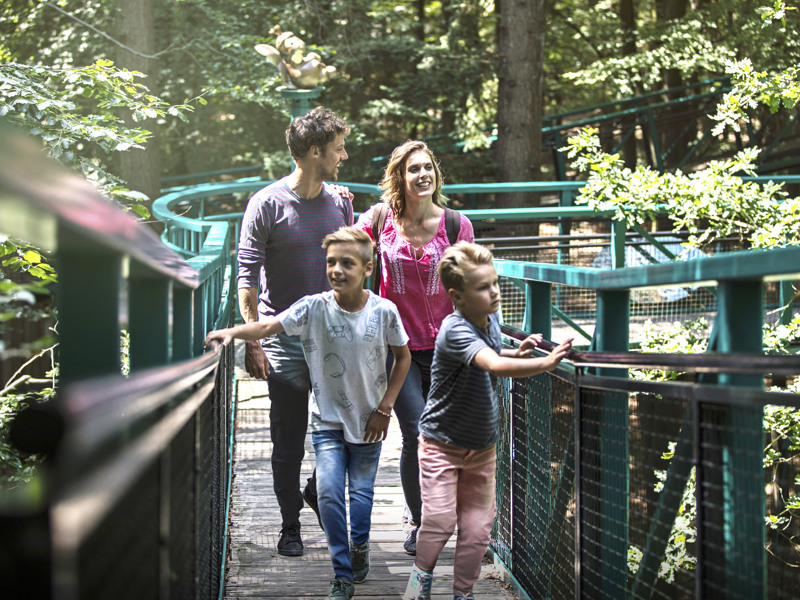Loop over het Boomkroonpad tijdens je vakantie in Drenthe