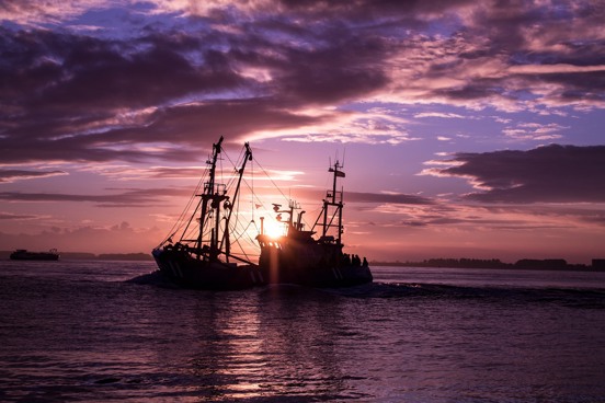 Besuchen Sie den Hafen von Terneuzen