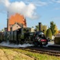 Tips in de omgeving