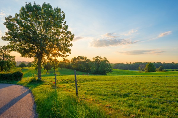 Ontdek de prachtige omgeving