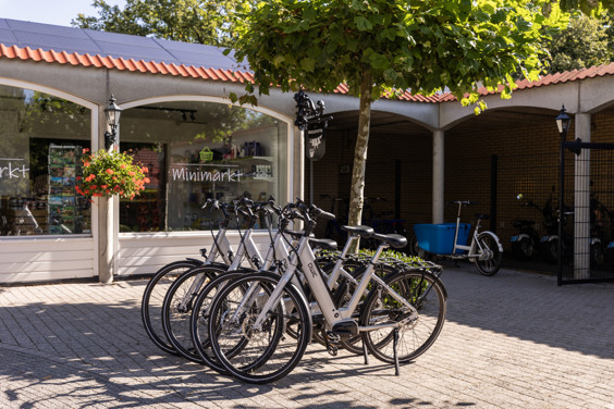 Verken de omgeving op een fiets van de fietsverhuur
