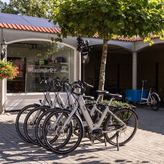 Verken de omgeving op een fiets van de fietsverhuur