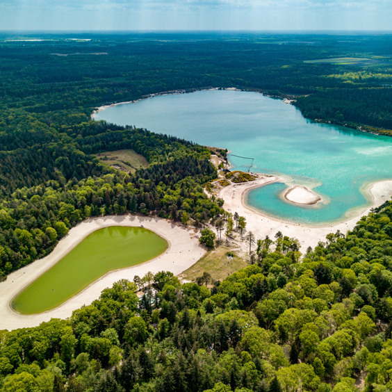 Natururlaub in den Niederlanden zwischen Wald und Wasser