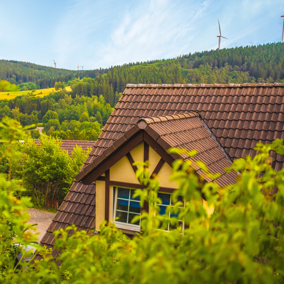 Accommodatie midden in de Duitse Eifel