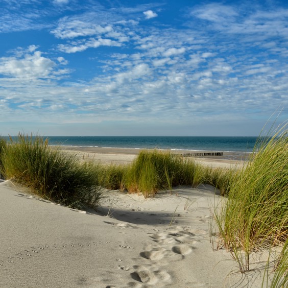 Geniet onderweg van de Zeeuwse natuur