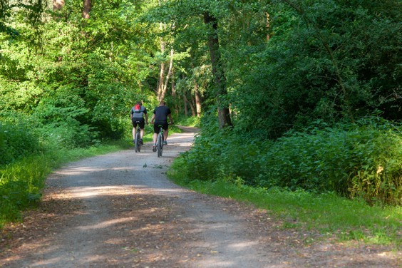 Geniet van mooie mountainbikeroutes in Freifahrt Eifel