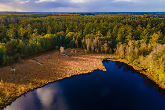 Drentse natuur