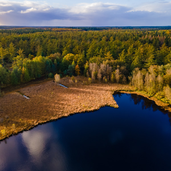 Tips in de omgeving