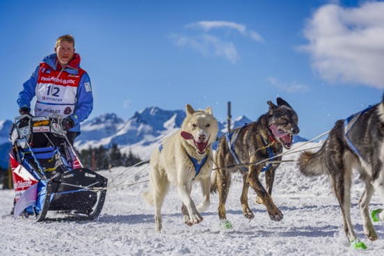 3. Maak een tocht op de hondenslee in Flaine met het hele gezin