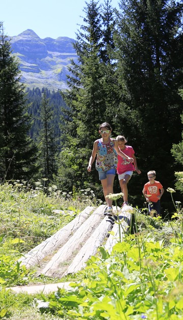 Beleef een onvergetelijke zomer in de Alpen