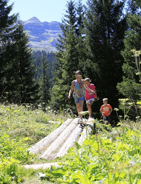 Beleef een onvergetelijke zomer in de Alpen