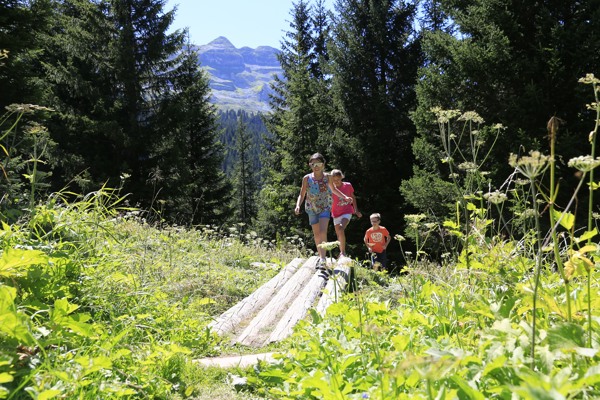 Descubre el fascinante entorno