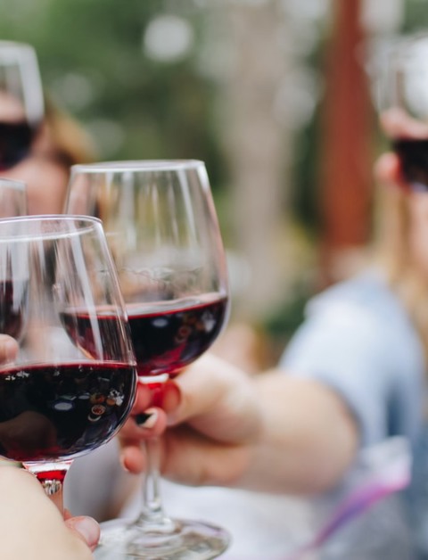 Explore and taste the most delicious wines
during your stay on the Costa Blanca