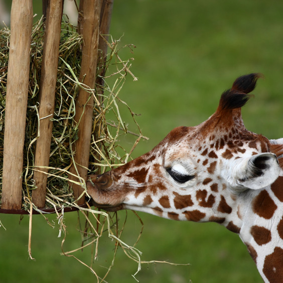 Schöner Familienpark in Zeeland