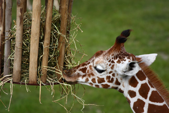 Leuk familiepark in Zeeland
