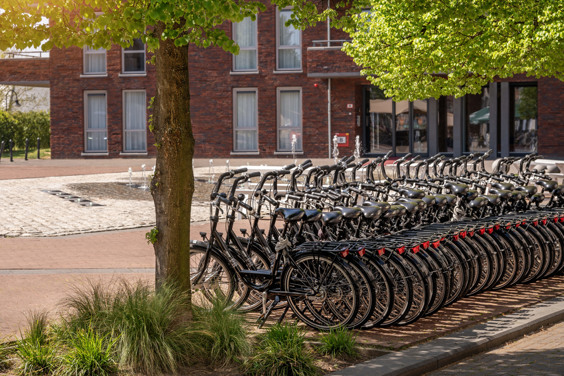 Rent a bike for one or more days