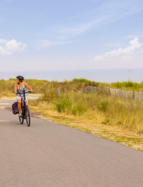 ¡Descubre las actividades que te ofrecemos para pasar
unas maravillosas vacaciones en Zelanda!