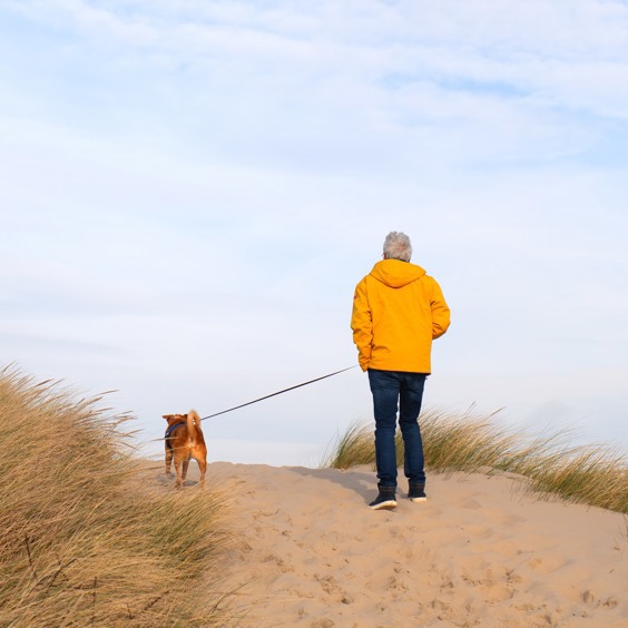 De bijzondere natuur in het Nationaal Park Hollandse Duinen