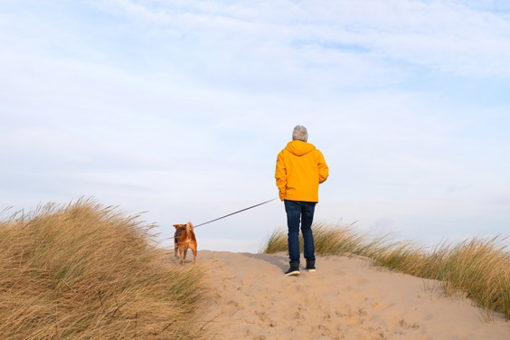 De bijzondere natuur in het Nationaal Park Hollandse Duinen