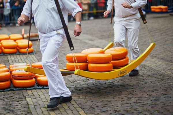 Experience the best activities in North Holland