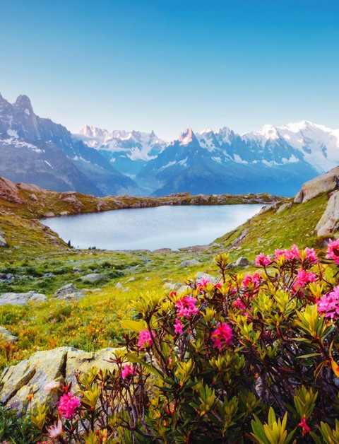 Enjoy the perfect summer temperature
in the French Alps