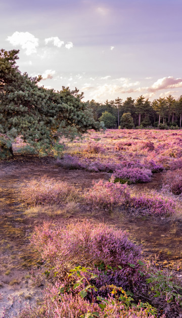 Buchen Sie jetzt ,the best quality time'