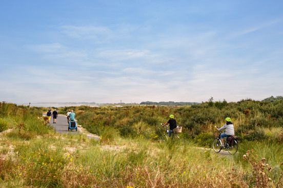 Een wandeling door de duinen