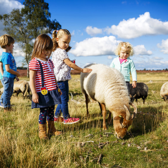 Beleef de natuur in volle bloei tijdens Pasen