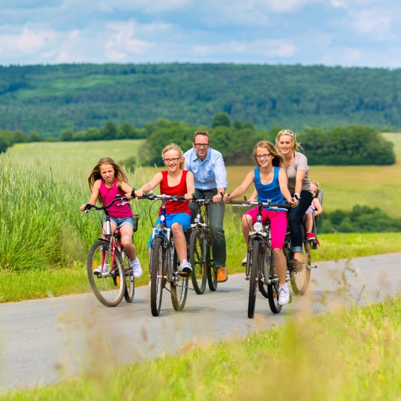 Welke fietsen kun je huren in Putten?