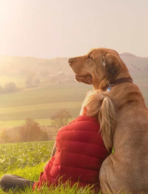 De vacaciones con tu amigo de cuatro patas