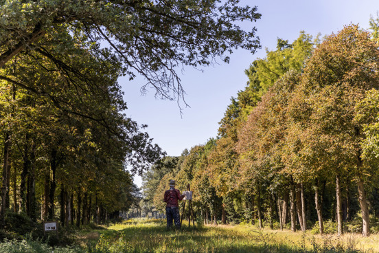 Kunstwerk Andreas Schotel in de Brabantse Kempen