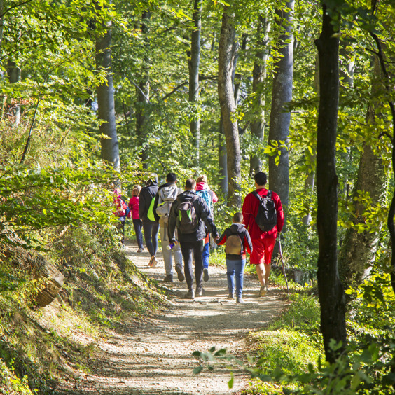 Wandelen in de natuur van de Eifel