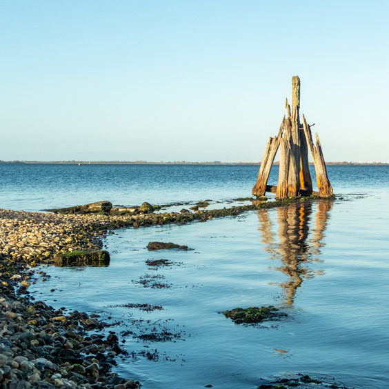 Het bijzondere Grevelingenmeer