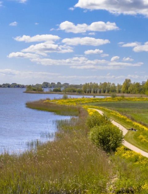 Anímate a explorar la naturaleza de Frisia y recorrer
sus bulliciosas ciudades