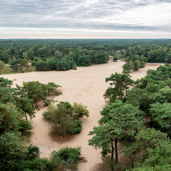 Natuurgebied Herperduin ontdekken