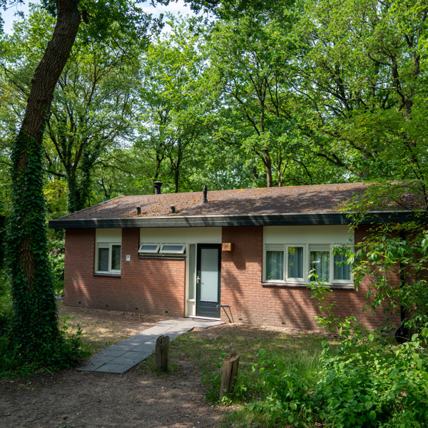 Holiday park in the middle of the forest in the Veluwe region