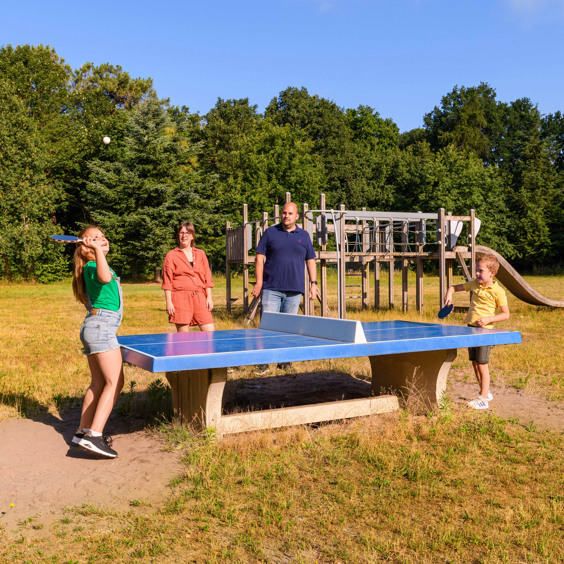Familie aan het tafeltennissen tijdens een fijn verblijf
