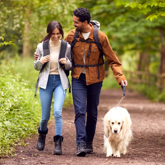 Wandel door de natuur tijdens je vakantie met hond