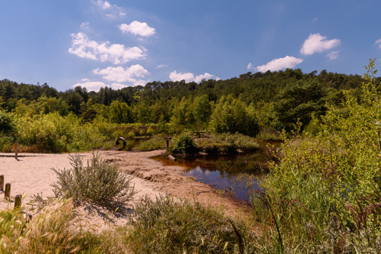 Outdoor-Zentrum Schoorlse Duinen