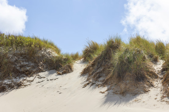 Waarom kiezen voor een vakantiepark aan de Opaalkust?