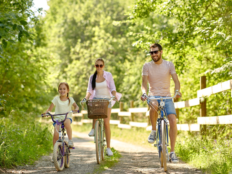 Discover the park’s facilities