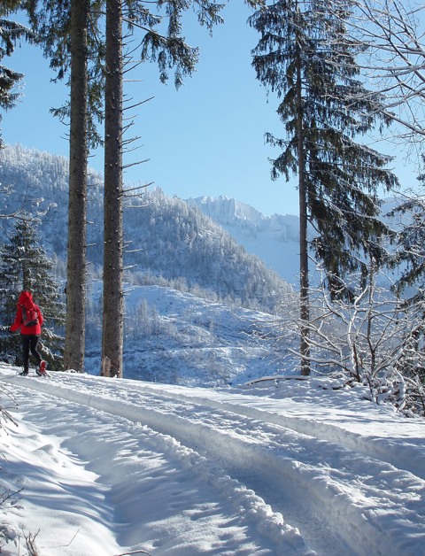 Frühbucherangebote für den Wintersport:
bis zu 25 % Rabatt*